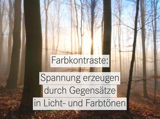 Nebelwald im Gegenlicht mit der Aufschrift „Farbkontraste: Spannung erzeugen durch Gegensätze in Licht- und Farbtönen“.