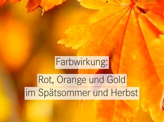 Goldgelbe Ahornblätter im Gegenlicht mit der Aufschrift „Farbstimmung: Rot, Orange und Gold im Spätsommer und Herbst.